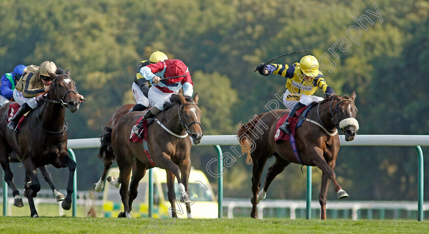 Oscar s-Sister-0001 
 OSCAR'S SISTER (right, Graham Lee) beats CLARETINA (centre) in The Development Funding Nursery
Haydock 1 Sep 2022 - Pic Steven Cargill / Racingfotos.com