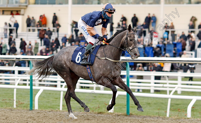 Dayzee-0001 
 DAYZEE (Joshua Bryan)
Lingfield 20 Jan 2024 - Pic Steven Cargill / Racingfotos.com