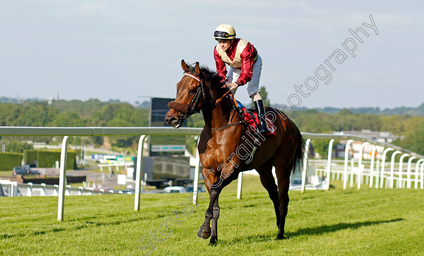 Regal-Rambler-0001 
 REGAL RAMBLER (Kieran O'Neill)
Sandown 25 May 2023 - Pic Steven Cargill / Racingfotos.com