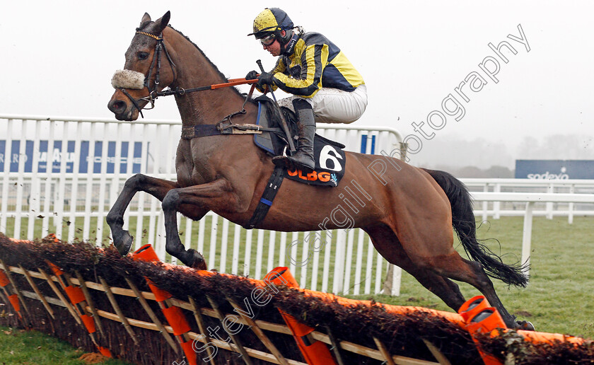 Sainte-Ladylime-0001 
 SAINTE LADYLIME (Sean Bowen) Ascot 20 Jan 2018 - Pic Steven Cargill / Racingfotos.com