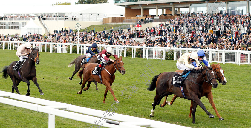 Shambolic-0001 
 SHAMBOLIC (Robert Havlin) wins The Royal Foresters British EBF Fillies Novice Stakes
Ascot 8 Sep 2018 - Pic Steven Cargill / Racingfotos.com