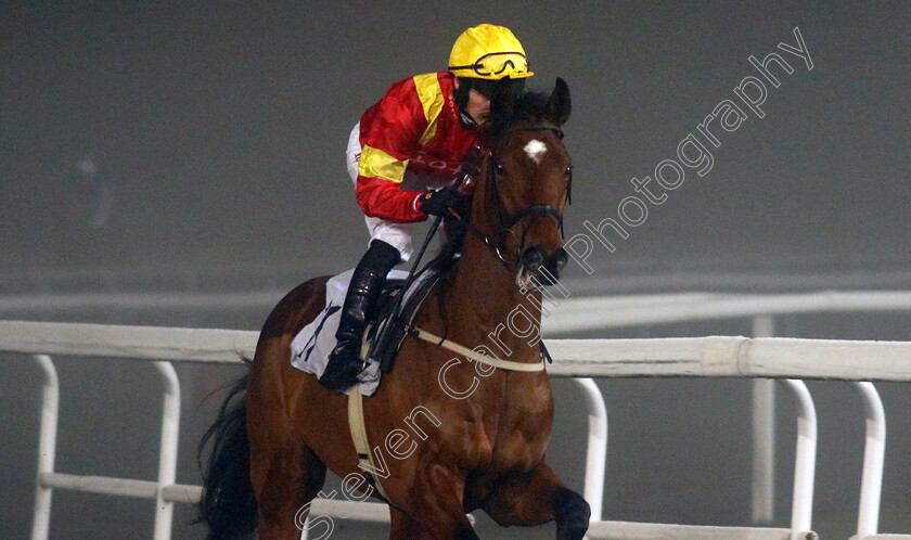 New-Dayrell-0001 
 NEW DAYRELL (Lewis Edmunds)
Kempton 16 Dec 2022 - Pic Steven Cargill / Racingfotos.com