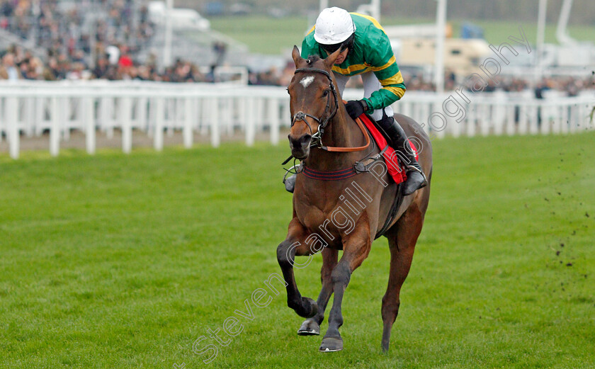 Defi-Du-Seuil-0006 
 DEFI DU SEUIL (Barry Geraghty) wins The Shloer Chase
Cheltenham 17 Nov 2019 - Pic Steven Cargill / Racingfotos.com