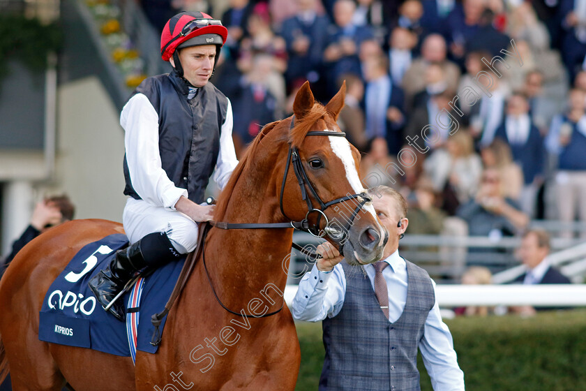 Kyprios-0012 
 KYPRIOS (Ryan Moore) winner of The Qipco British Champions Long Distance Cup
Ascot 19 Oct 2024 - Pic Steven Cargill / Racingfotos.com