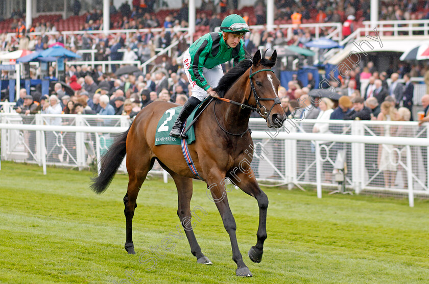 Hello-Jumeirah 
 HELLO JUMEIRAH (Tom Marquand)
Chester 4 May 2022 - Pic Steven Cargill / Racingfotos.com