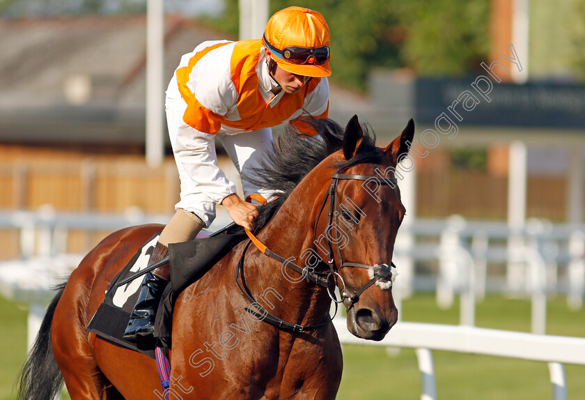 Hotspur-Harry-0001 
 HOTSPUR HARRY (George Eddery)
Newbury 22 Jul 2021 - Pic Steven Cargill / Racingfotos.com