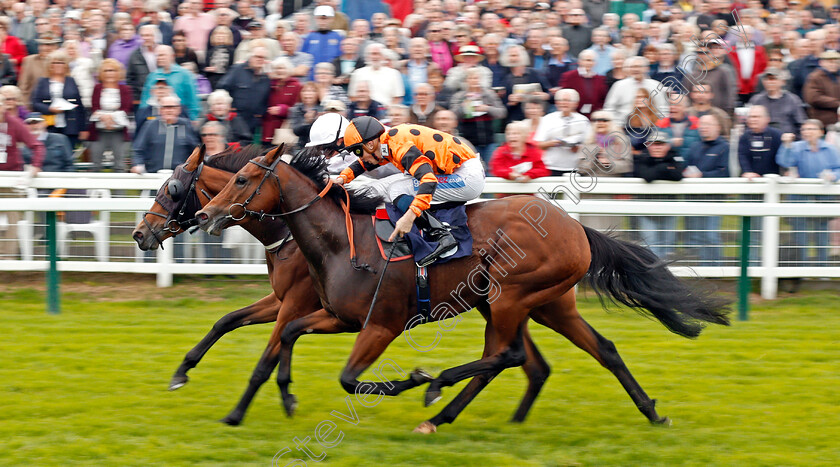 Ocean-Temptress-0005 
 OCEAN TEMPTRESS (farside, Jack Osborn) beats QUATRIEME AMI (nearside) in The Moulton Nursery Of Acle Handicap Yarmouth 19 Sep 2017 - Pic Steven Cargill / Racingfotos.com