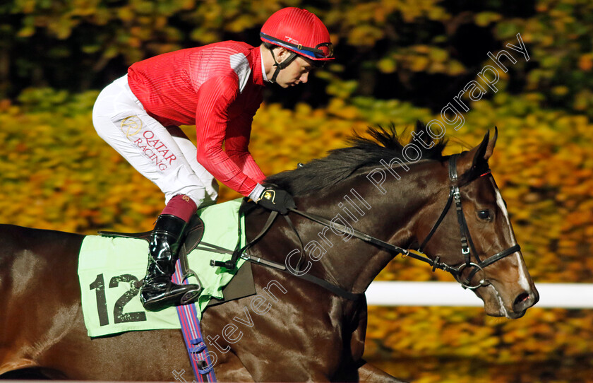 Sir-Les-Patterson-0001 
 SIR LES PATTERSON (Oisin Murphy)
Kempton 15 Nov 2023 - Pic Steven Cargill / Racingfotos.com