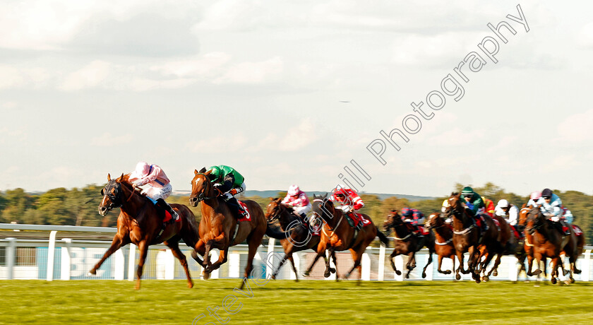 Glorious-Forever-0001 
 GLORIOUS FOREVER (Pat Cosgrave) beats SWILLY SUNSET (right) in The BetBright Handicap Sandown 2 Sep 2017 - Pic Steven Cargill / Racingfotos.com