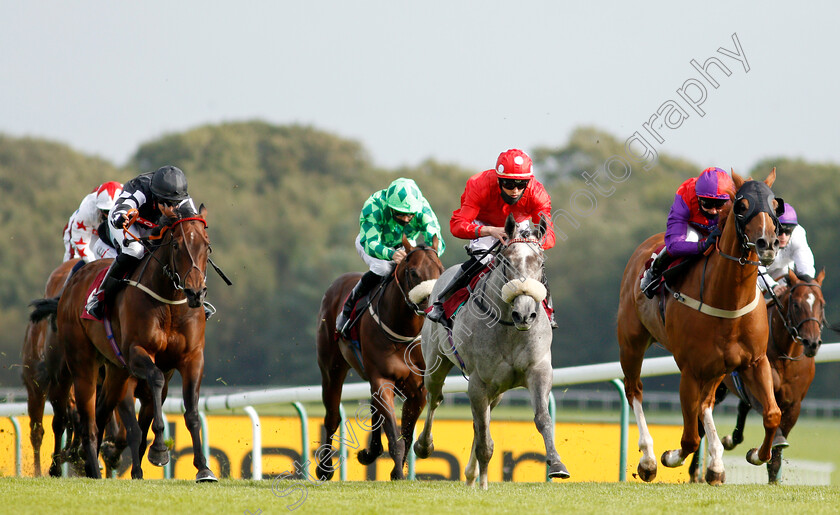 Shepherds-Way-0005 
 SHEPHERDS WAY (centre, Clifford Lee) beats SOMEWHERE SECRET (right) and FOX HILL (left) in The Betfair Exchange Handicap
Haydock 4 Sep 2020 - Pic Steven Cargill / Racingfotos.com