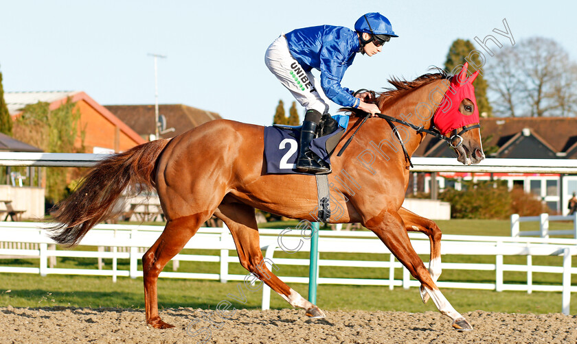 Expressionist-0001 
 EXPRESSIONIST (Luke Morris) in red hood to be removed at the start
Lingfield 8 Feb 2020 - Pic Steven Cargill / Racingfotos.com