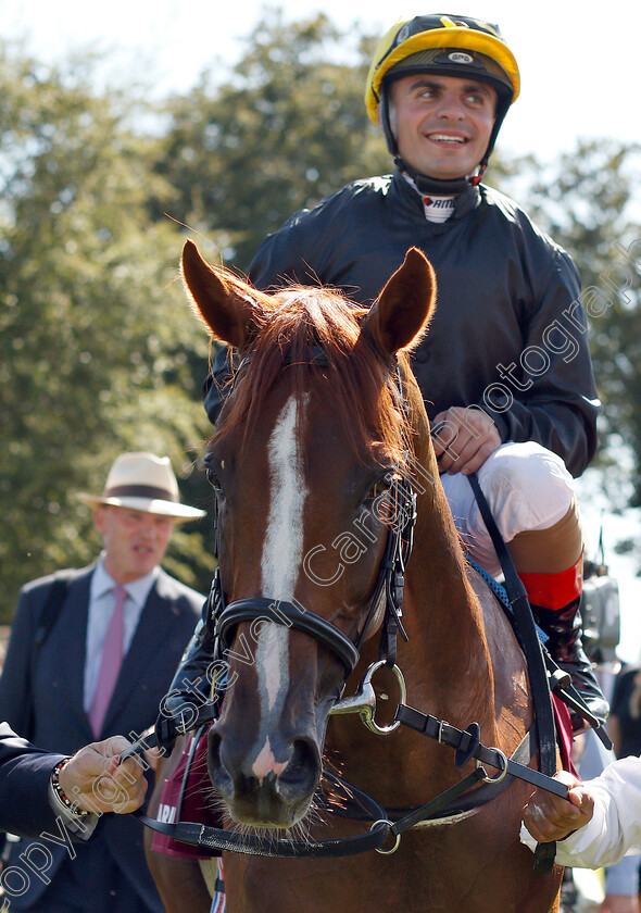 Stradivarius-0008 
 STRADIVARIUS (Andrea Atzeni) after The Qatar Goodwood Cup
Goodwood 31 Jul 2018 - Pic Steven Cargill / Racingfotos.com