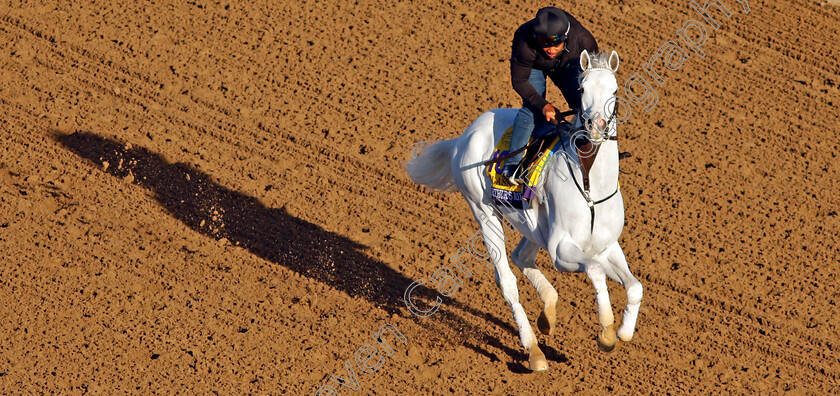 Arthur s-Ride-0003 
 ARTHUR'S RIDE training for the Breeders' Cup Classic
Del Mar USA 30 Oct 2024 - Pic Steven Cargill / Racingfotos.com