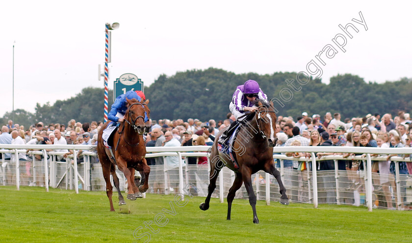 Continuous-0008 
 CONTINUOUS (Ryan Moore) wins The Sjy Bet Great Voltigeur Stakes
York 23 Aug 2023 - Pic Steven Cargill / Racingfotos.com