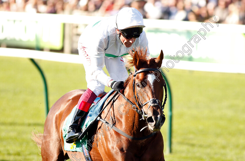 Wissahickon-0010 
 WISSAHICKON (Frankie Dettori) wins The bet365 Cambridgeshire Handicap
Newmarket 29 Sep 2018 - Pic Steven Cargill / Racingfotos.com