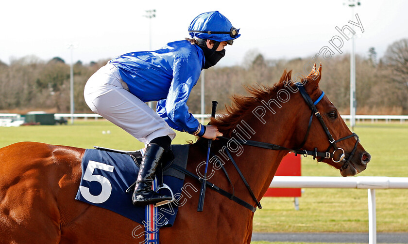 King-Leo-0002 
 KING LEO (Nicky Mackay)
Wolverhampton 13 Mar 2021 - Pic Steven Cargill / Racingfotos.com