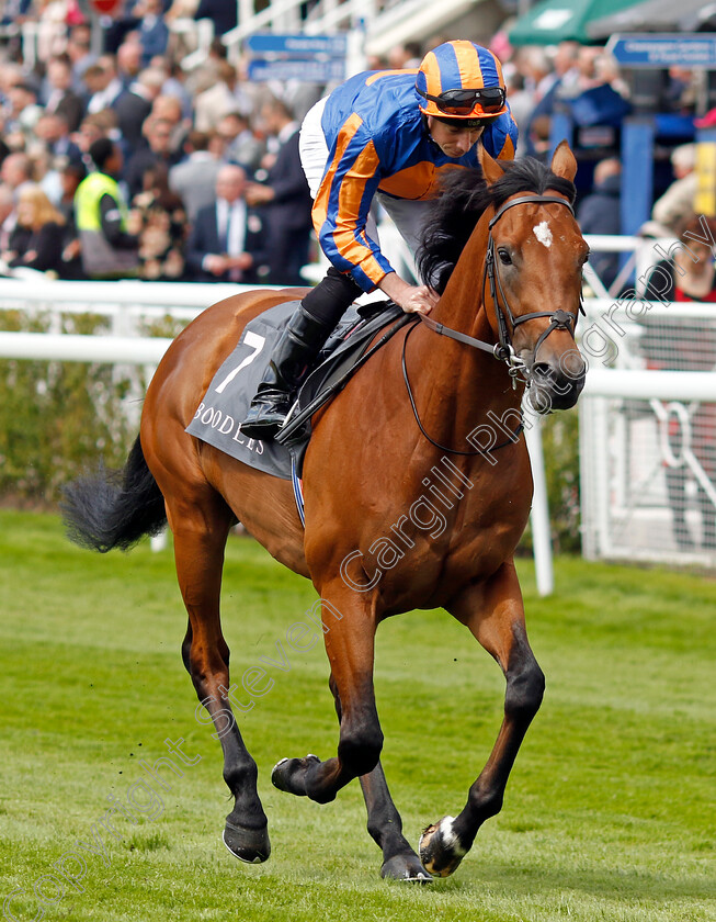 San-Antonio-0012 
 SAN ANTONIO (Ryan Moore) winner of The Boodles Dee Stakes
Chester 11 May 2023 - Pic Steven Cargill / Racingfotos.com