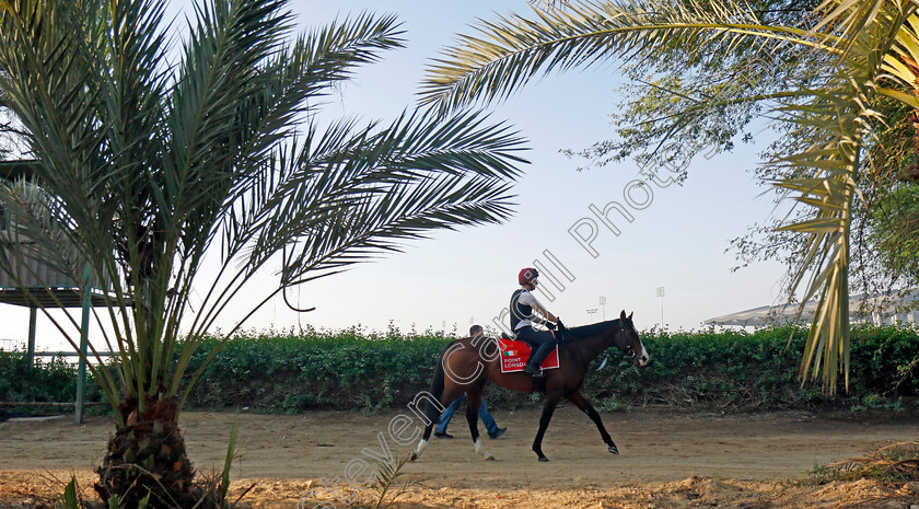 Point-Lonsdale-0006 
 POINT LONSDALE training for the Bahrain International Trophy
Kingdom of Bahrain 13 Nov 2024 - Pic Steven Cargill / Racingfotos.com