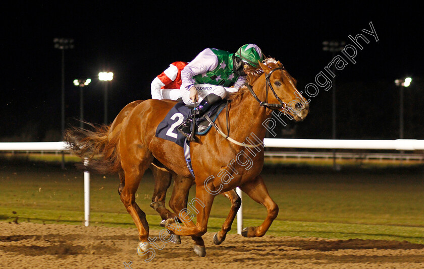 Lihou-0002 
 LIHOU (Darragh Keenan) wins The Play 4 To Win At Betway Handicap
Wolverhampton 11 Jan 2021 - Pic Steven Cargill / Racingfotos.com