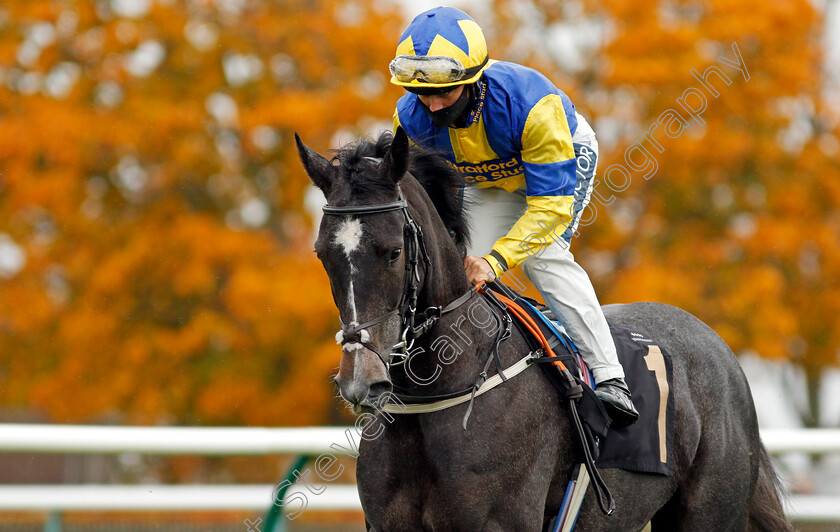 Chloholteen-0001 
 CHLOHOLTEEN (Nicola Currie)
Newmarket 21 Oct 2020 - Pic Steven Cargill / Racingfotos.com