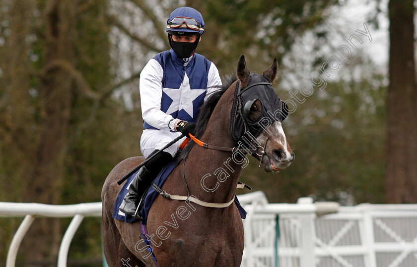 Obtuse-0001 
 OBTUSE (Eoin Walsh)
Lingfield 26 Mar 2021 - Pic Steven Cargill / Racingfotos.com