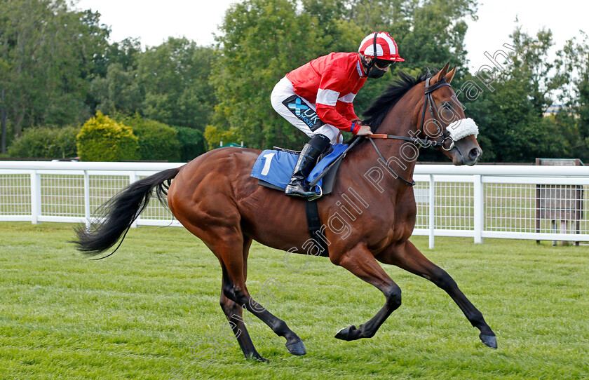 First-Prophet-0001 
 FIRST PROPHET (Stevie Donohoe)
Salisbury 11 Jul 2020 - Pic Steven Cargill / Racingfotos.com