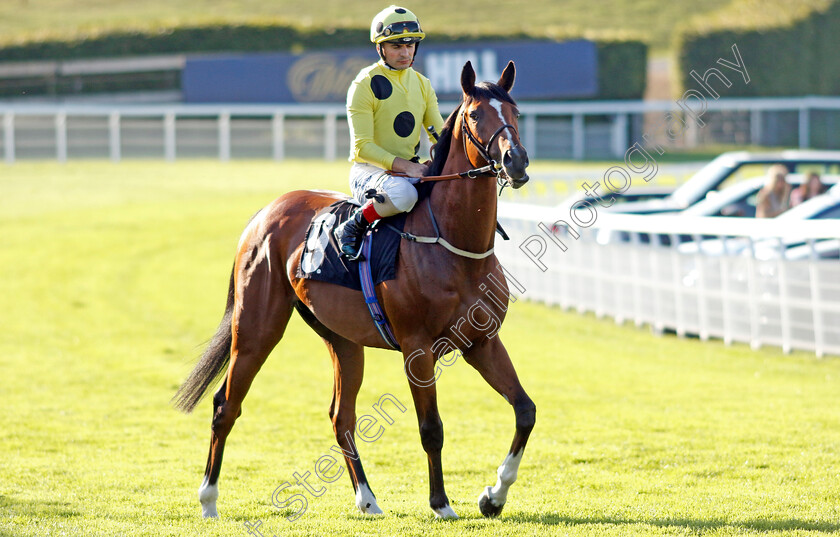 The-Parent-0001 
 THE PARENT (Andrea Atzeni) winner of The British EBF Novice Stakes
Goodwood 26 Aug 2022 - Pic Steven Cargill / Racingfotos.com