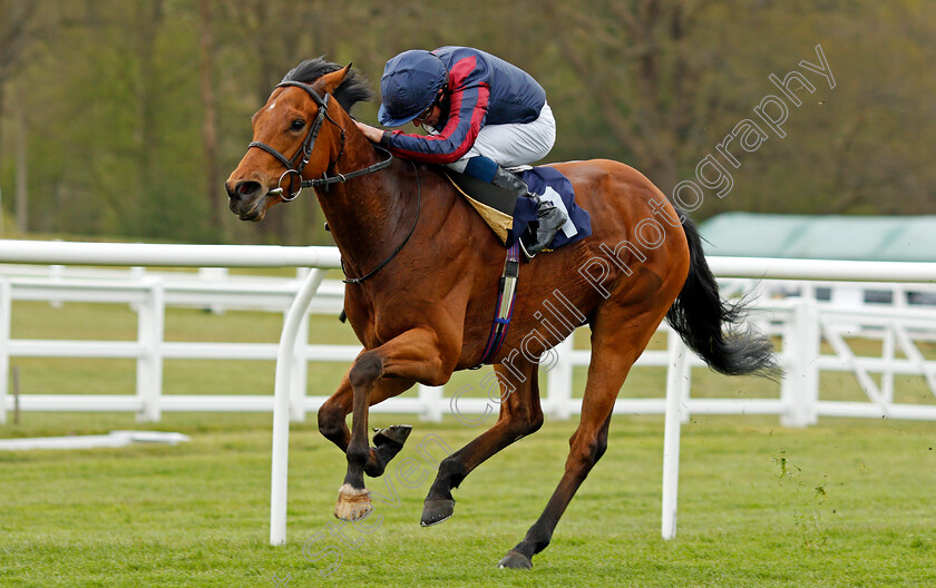 Turn-On-The-Charm-0004 
 TURN ON THE CHARM (William Buick) wins The Download The Novibet App Handicap
Lingfield 8 May 2021 - Pic Steven Cargill / Racingfotos.com