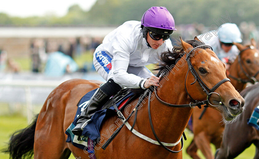 Charming-Kid-0006 
 CHARMING KID (Paul Hanagan) wins The British Stallion Studs EBF Novice Stakes York 16 May 2018 - Pic Steven Cargill / Racingfotos.com