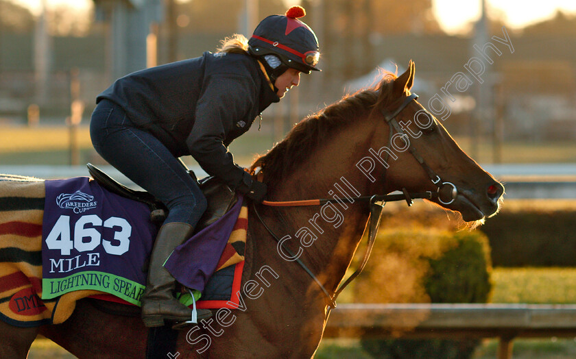 Lightning-Spear-0001 
 LIGHTNING SPEAR exercising ahead of the The Breeders' Cup Mile
Churchill Downs USA 29 Oct 2018 - Pic Steven Cargill / Racingfotos.com