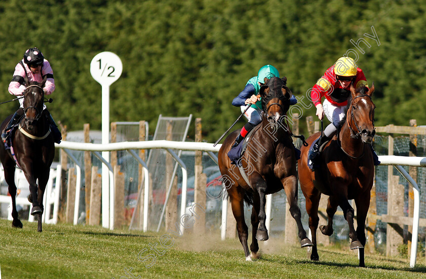 Jack-Taylor-0003 
 JACK TAYLOR (centre, Shane Kelly) beats JEOPARDY JOHN (right) in The mintbet.com The Home Of Refreshing Odds Handicap
Brighton 3 Jul 2018 - Pic Steven Cargill / Racingfotos.com