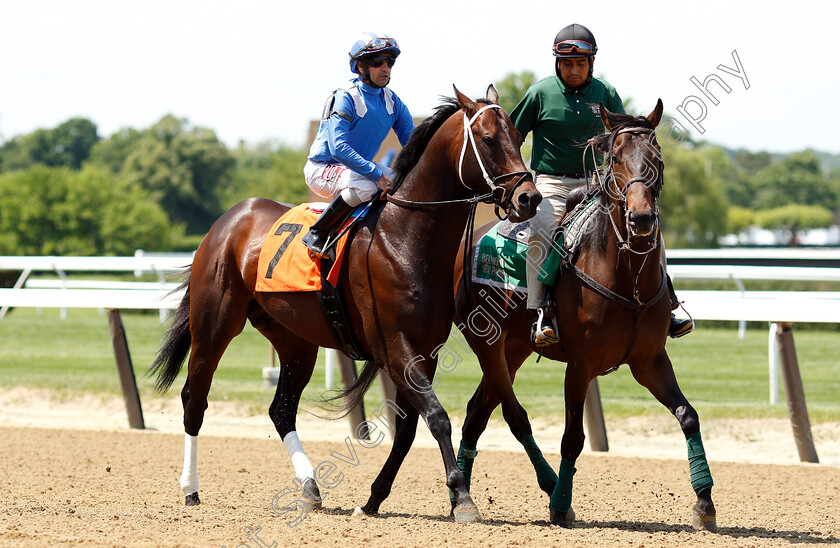 Ajnadeen-0001 
 AJNADEEN (Joe Bravo)
Belmont Park 7 Jun 2018 - Pic Steven Cargill / Racingfotos.com