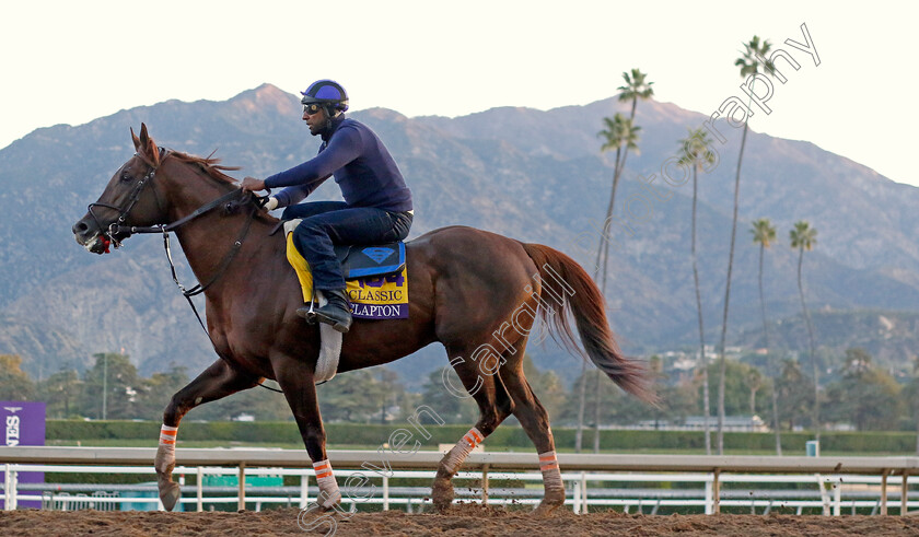 Clapton-0001 
 CLAPTON training for the Breeders' Cup Classic
Santa Anita USA, 1 Nov 2023 - Pic Steven Cargill / Racingfotos.com