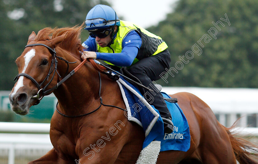 Masar-0010 
 MASAR (Brett Doyle) working at 6am
Newmarket 30 Jun 2018 - Pic Steven Cargill / Racingfotos.com