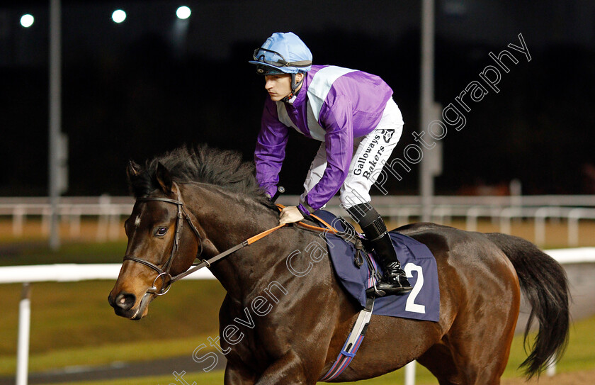 Arabian-Moon-0001 
 ARABIAN MOON (Richard Kingscote)
Wolverhampton 19 Dec 2019 - Pic Steven Cargill / Racingfotos.com