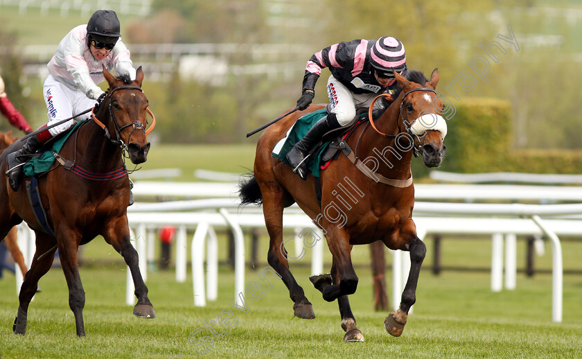 Kupatana-0004 
 KUPATANA (Harry Cobden) beats LITTLE MISS POET (left) in The EBF Thoroughbred Breeders Association Mares Novices Handicap Chase Series Final
Cheltenham 18 Apr 2019 - Pic Steven Cargill / Racingfotos.com