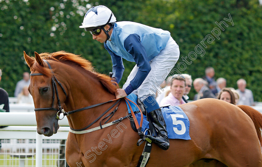 Red-Genesis-0001 
 RED GENESIS (William Buick)
Salisbury 12 Aug 2021 - Pic Steven Cargill / Racingfotos.com