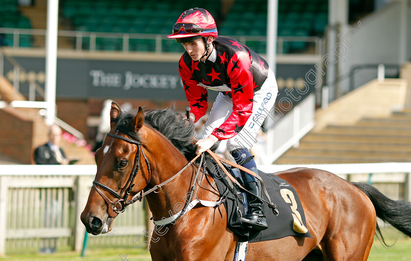 Anger-Management-0001 
 ANGER MANAGEMENT (Darragh Keenan)
Newmarket 23 Sep 2021 - Pic Steven Cargill / Racingfotos.com