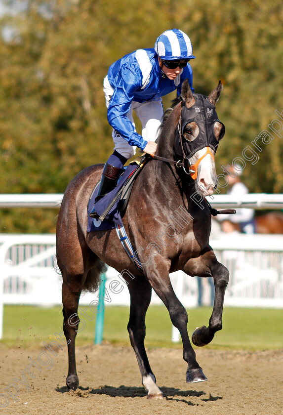 Motabassim-0001 
 MOTABASSIM (Jim Crowley) winner of The Racing Welfare Nursery Lingfield 5 Oct 2017 - Pic Steven Cargill / Racingfotos.com