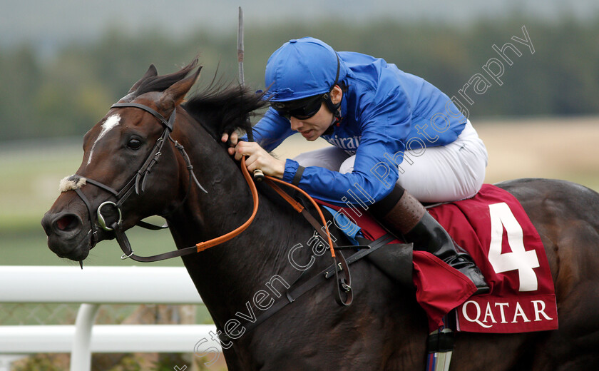 Land-Of-Legends-0004 
 LAND OF LEGENDS (Callum Shepherd) wins The Qatar Handicap
Goodwood 3 Aug 2019 - Pic Steven Cargill / Racingfotos.com