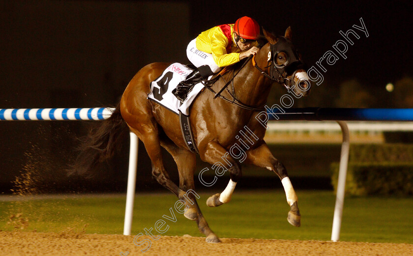 Lavaspin-0005 
 LAVASPIN (Richard Mullen) wins The InsideOut Handicap
Meydan 14 Feb 2019 - Pic Steven Cargill / Racingfotos.com