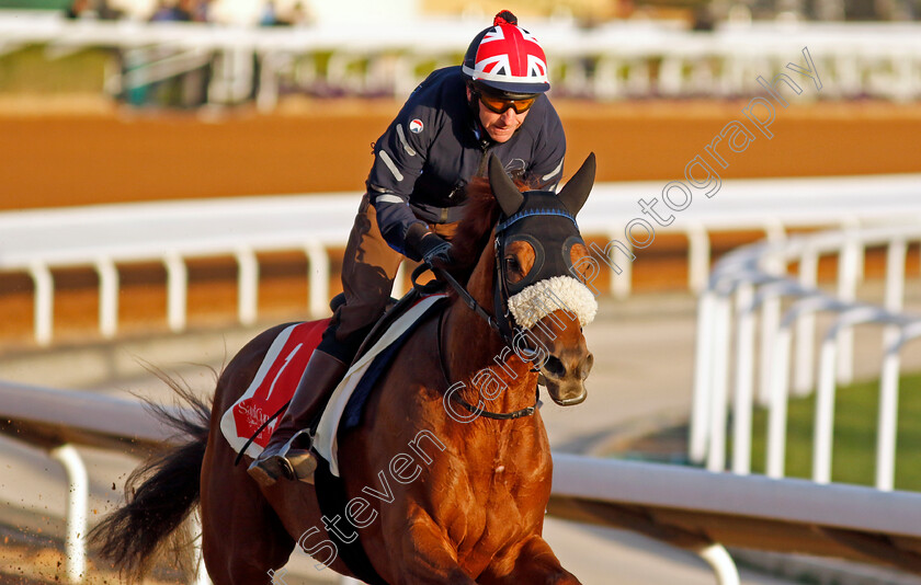 Giavellotto-0002 
 GIAVELLOTTO training for The Red Sea Turf Handicap
King Abdulaziz Racecourse, Saudi Arabia 21 Feb 2024 - Pic Steven Cargill / Racingfotos.com