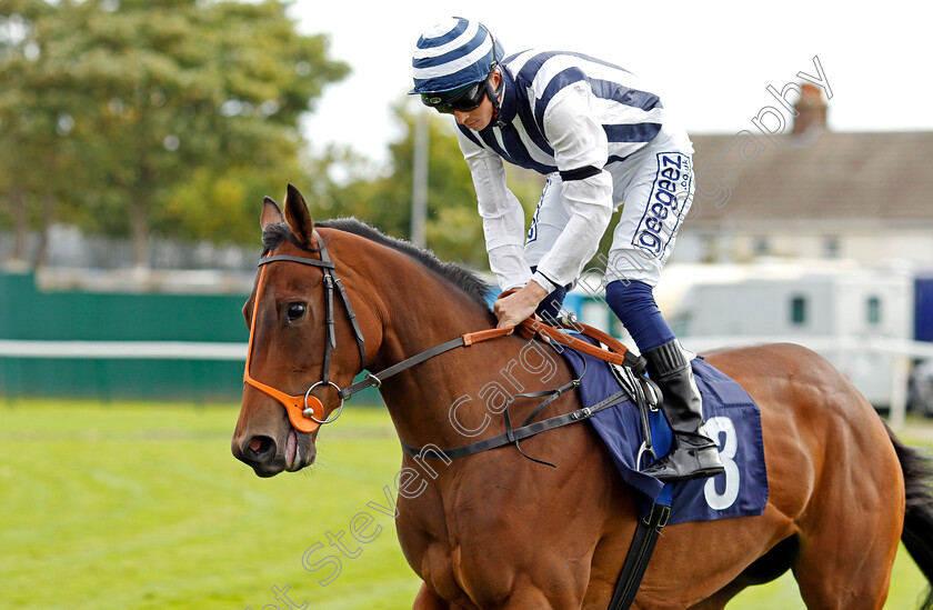 Mimoset-0001 
 MIMOSET (David Probert)
Yarmouth 14 Sep 2022 - Pic Steven Cargill / Racingfotos.com