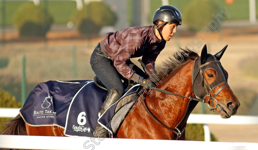 Lauda-Sion-0002 
 LAUDA SION training for The Turf Sprint
King Abdulaziz Racetrack, Riyadh, Saudi Arabia 22 Feb 2022 - Pic Steven Cargill / Racingfotos.com