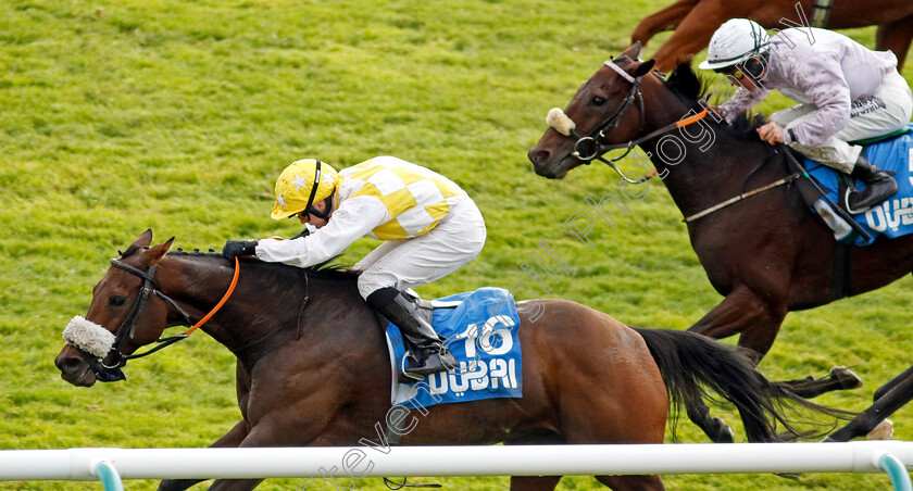 Alphonse-Le-Grande-0002 
 ALPHONSE LE GRANDE (Jamie Powell) wins The Club Godolphin Cesarewitch
Newmarket 12 Oct 2024 - Pic Steven Cargill / Racingfotos.com