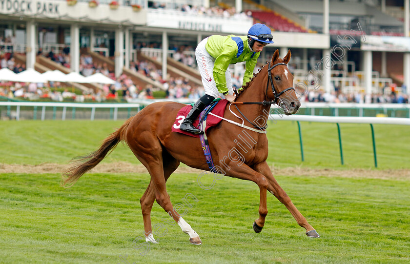 Berwick-Law-0001 
 BERWICK LAW (Rossa Ryan)
Haydock 2 Sep 2022 - Pic Steven Cargill / Racingfotos.com