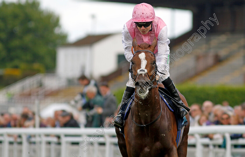 Lionel-0010 
 LIONEL (Jamie Spencer) wins The British Stallion Studs EBF Cocked Hat Stakes
Goodwood 20 May 2022 - Pic Steven Cargill / Racingfotos.com