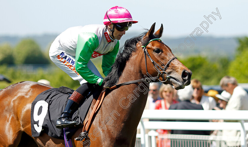 Tiger-Bay-0001 
 TIGER BAY (Trevor Whelan)
Goodwood 26 May 2023 - Pic Steven Cargill / Racingfotos.com