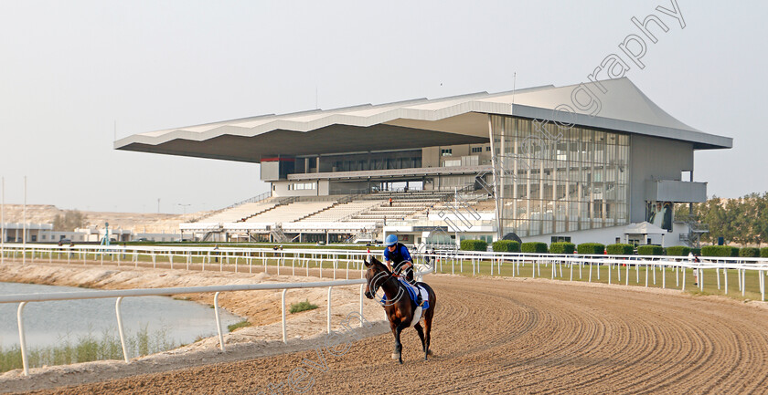 Loxley-0001 
 LOXLEY training for the Bahrain International Trophy
Rashid Equestrian & Horseracing Club, Bahrain, 18 Nov 2020