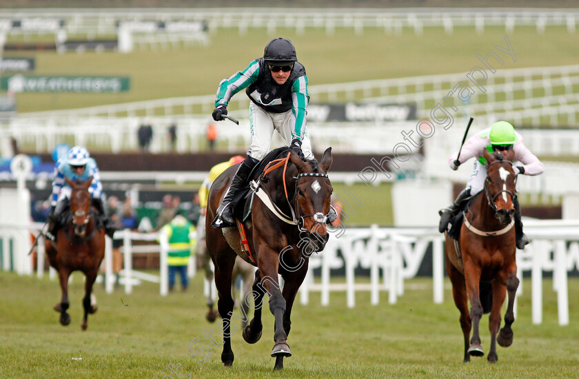 Altior-0004 
 ALTIOR (Nico de Boinville) wins The Betway Queen Mother Champion Chase Cheltenham 14 Mar 2018 - Pic Steven Cargill / Racingfotos.com